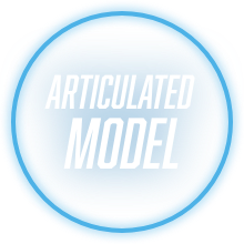 Articulated model