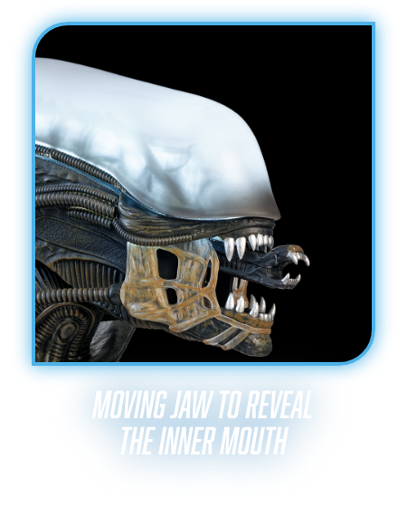 MOVING JAW TO REVEAL THE INNER MOUTH